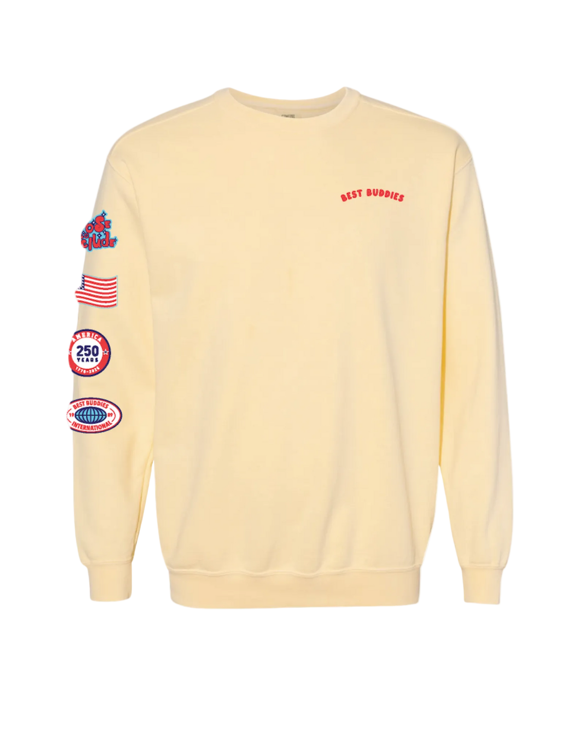 Inclusion USA Crewneck