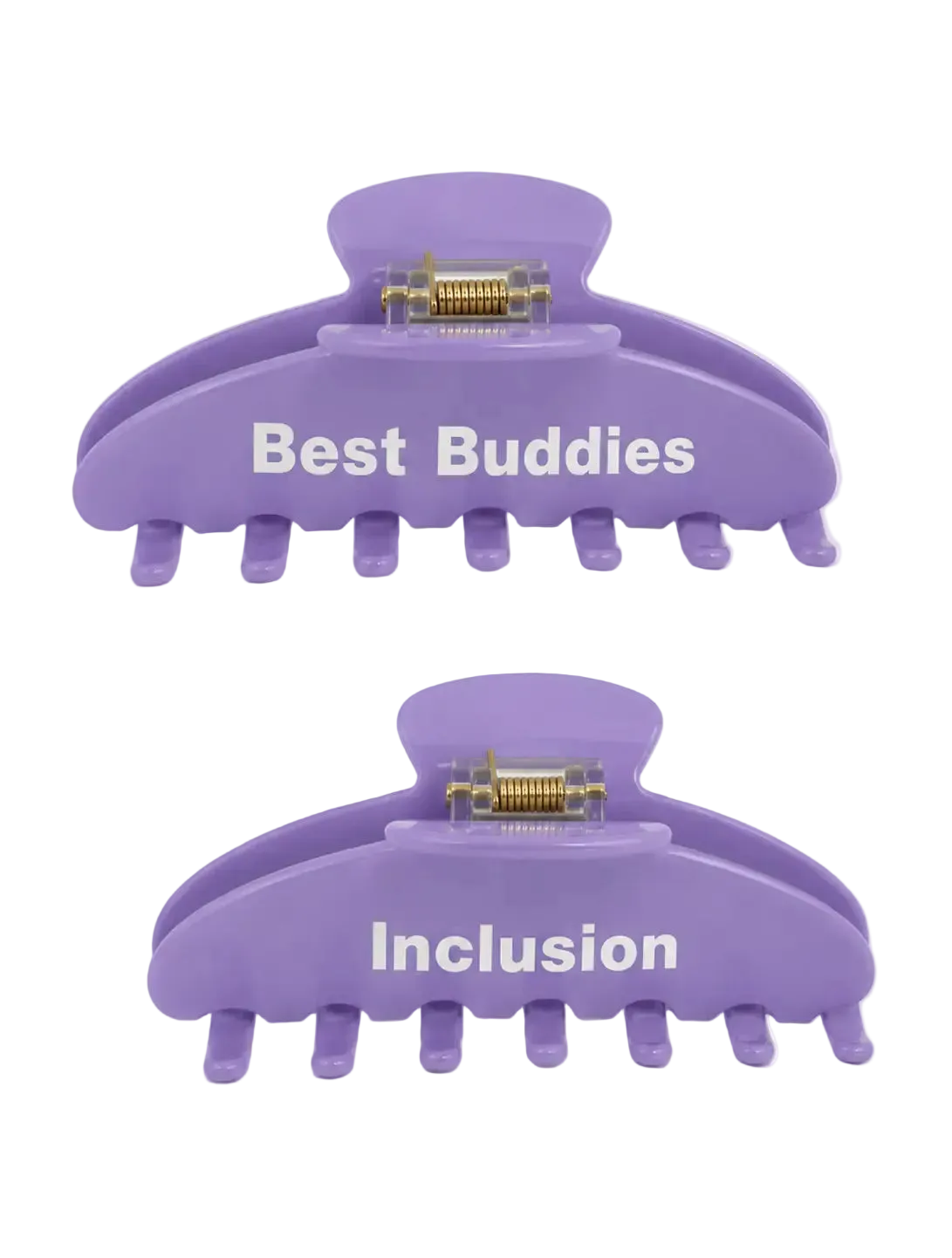 BB Inclusion Hair Clip