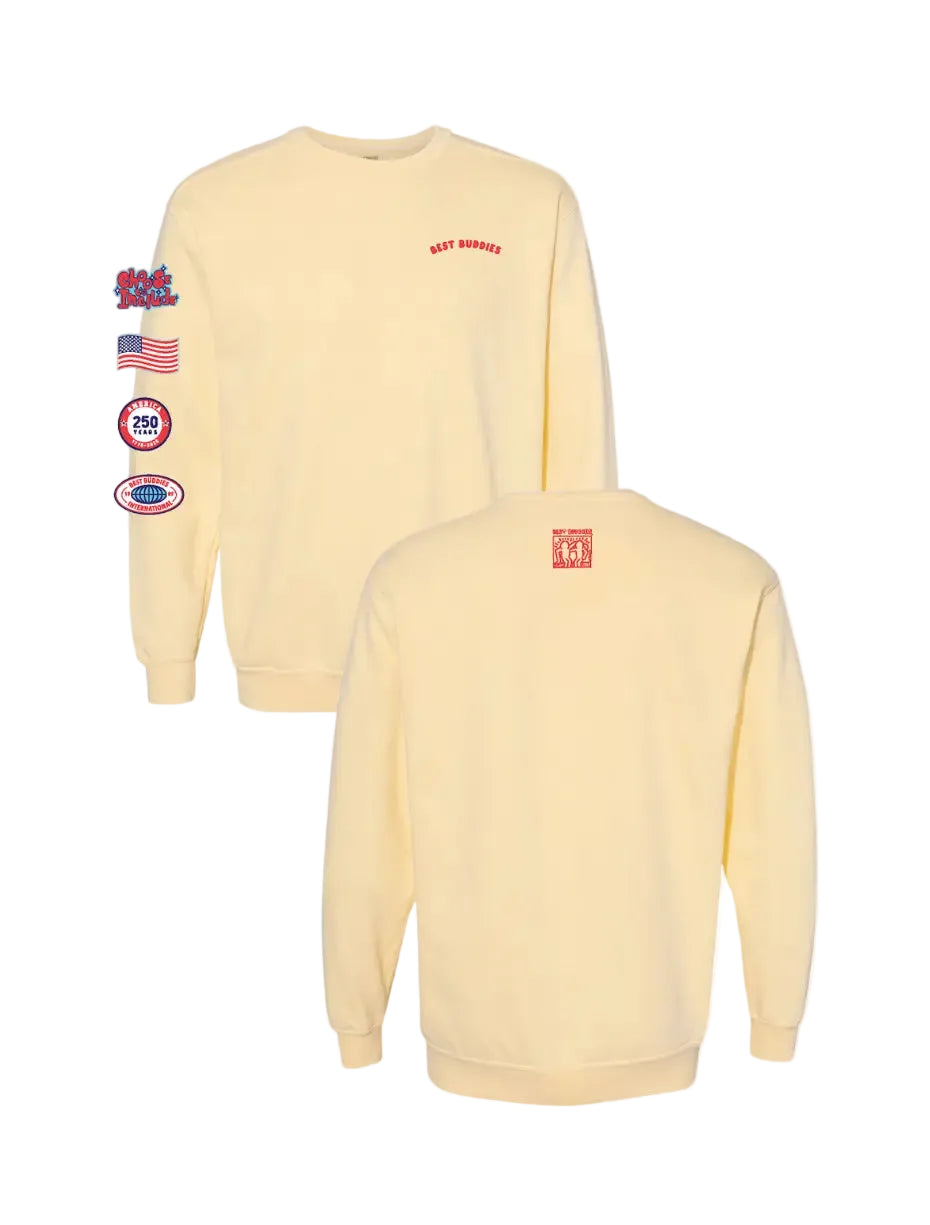 Inclusion USA Crewneck