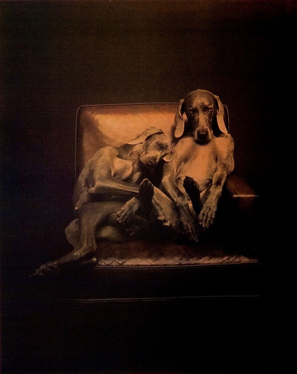 William Wegman-Best Buddies (Photograph)